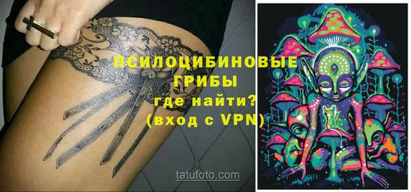 ПСИЛОЦИБИНОВЫЕ ГРИБЫ Беломорск